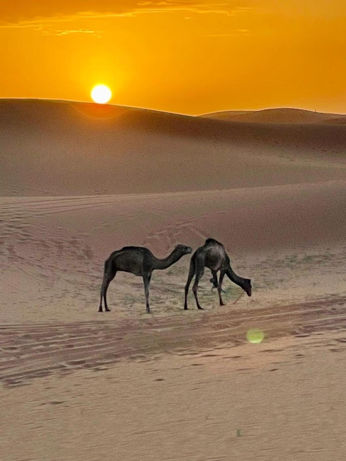 Chigaga Desert Camp Мхамид Екстериор снимка